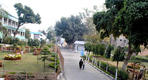 College Campus